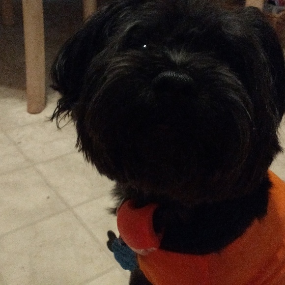 Meet your Posher, Geneve - Picture 1 of 1